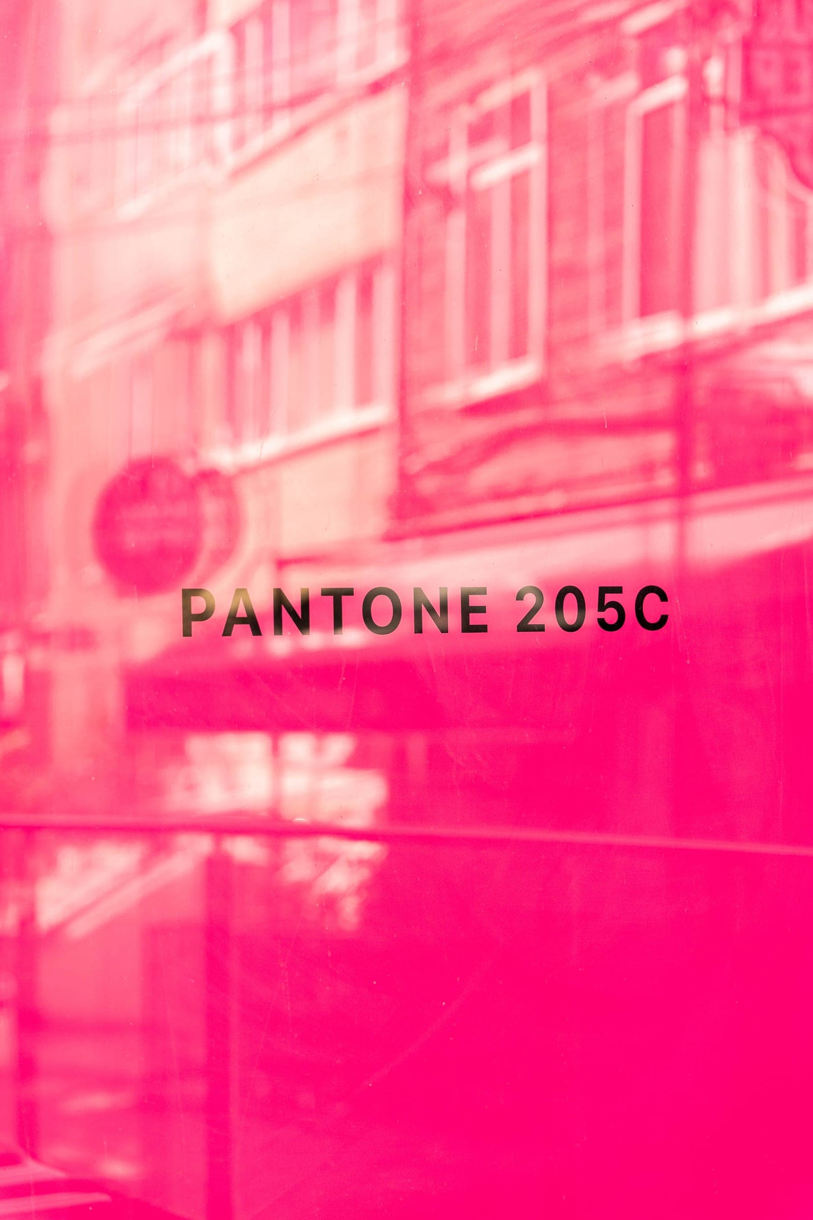 "PANTONE 205C" text on a pink surface